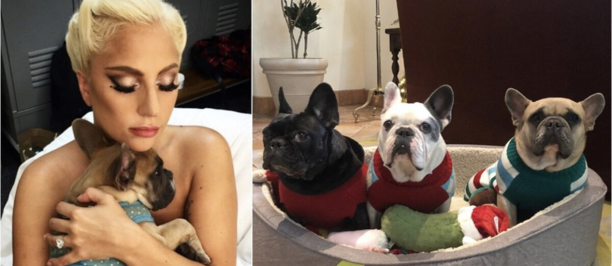 Lady Gaga: condannato l’aggressore del dogsitter della cantante