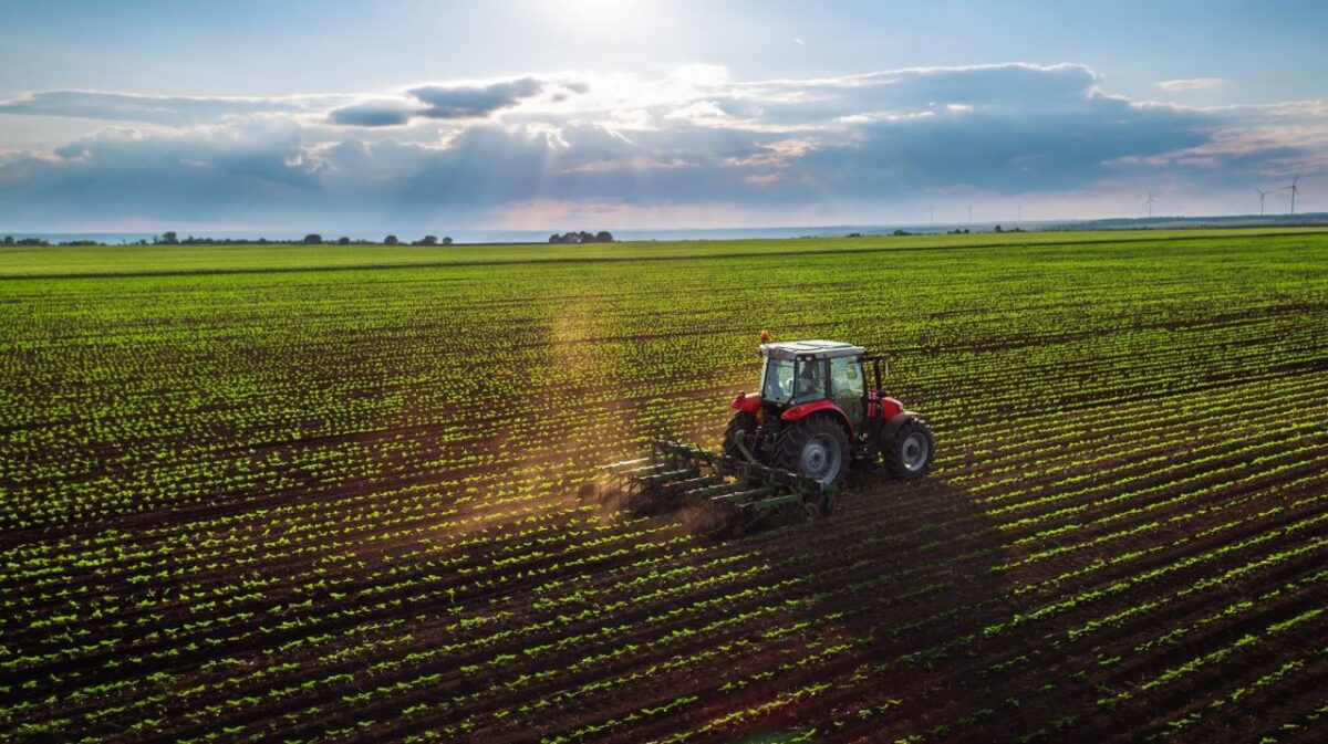 Finanziamento per giovani agricoltori: ISMEA Generazione Terra, come ottenerlo